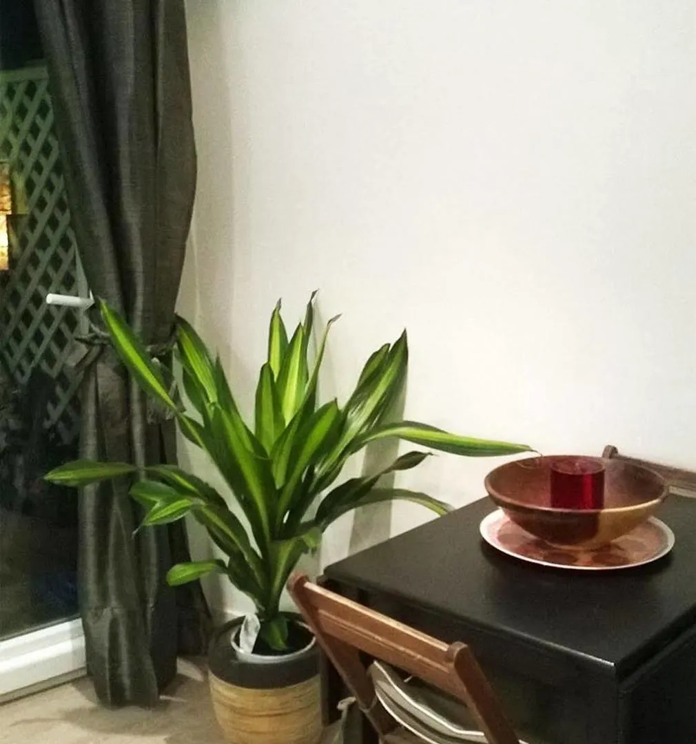 Luky Apartment Castelldefels